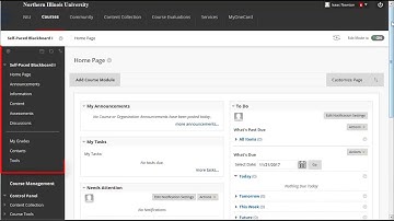 Using the Blackboard Course Interface