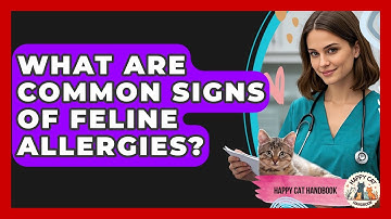 What Are Common Signs Of Feline Allergies? - Happy Cat Handbook