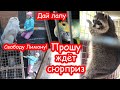 VLOG Что-то намечается