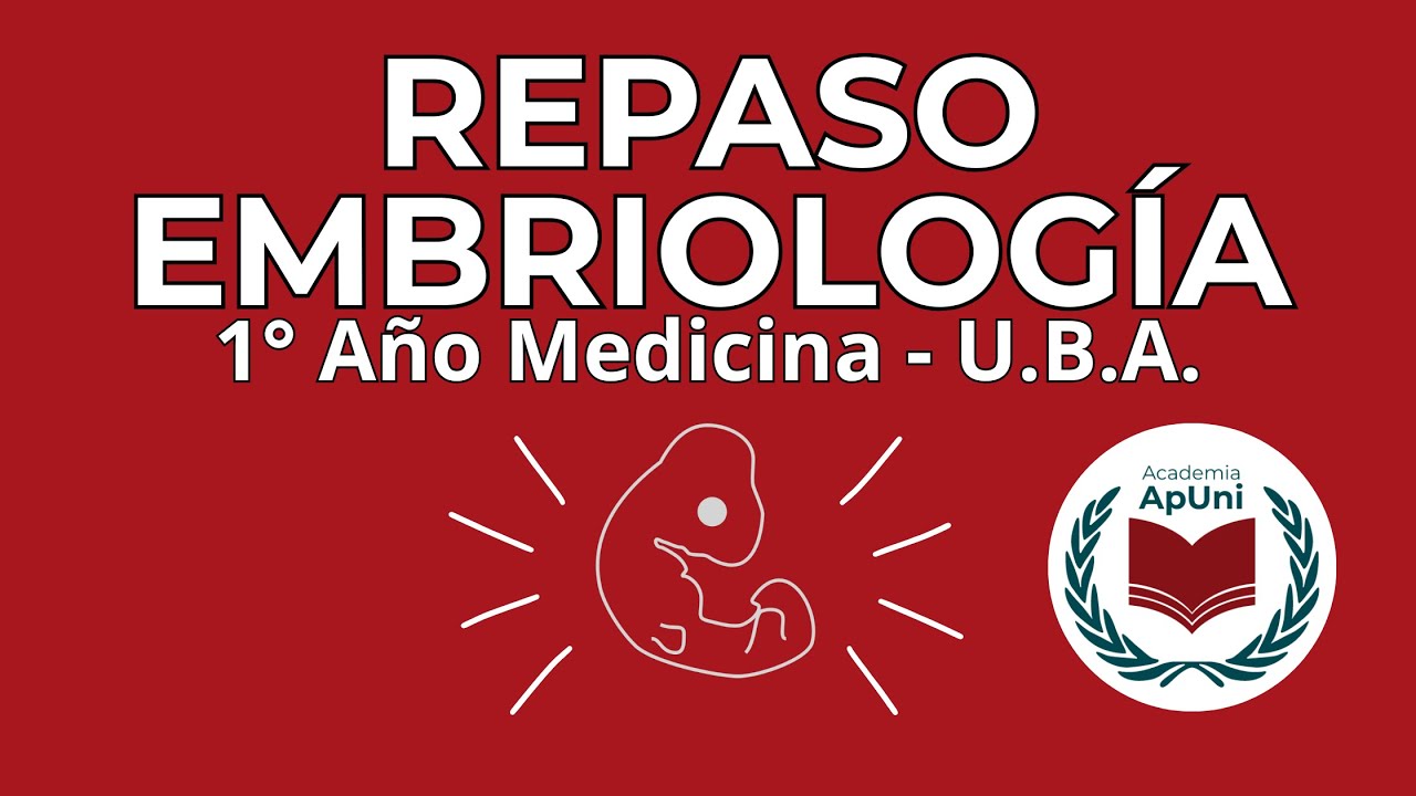 Repaso Embriología | Academia ApUni - YouTube