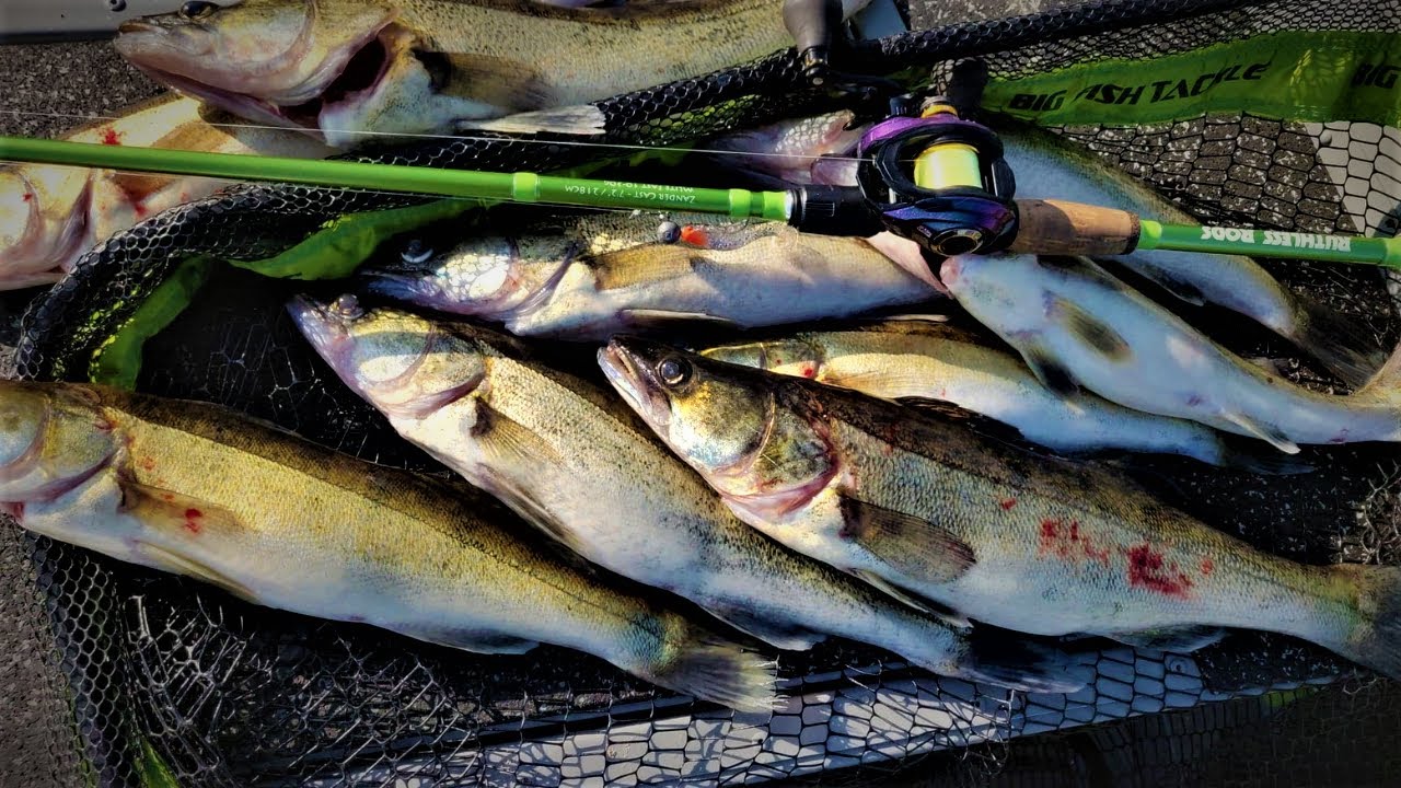 TULINEN KUHANSYÖNTI VENEPILKILLÄ - 2D KAIKULUOTAIN NÄKYMÄ - ALKUSYKSYN KUHAREISSU - ORKA SMALL FISH