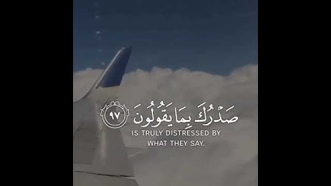 راحه نفسيه🌼🌿//للقارئ سالم الرويلي//حالات واتس اب//تلاوه خاشعه❤//قران كريم❤❤.