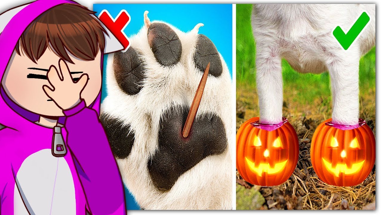 Halloween Life Hacks die dich zum schreien bringen!