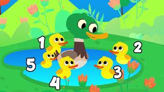 Five Little Ducks | ZigZagZoom Kids Songs And Nursery Rhymes