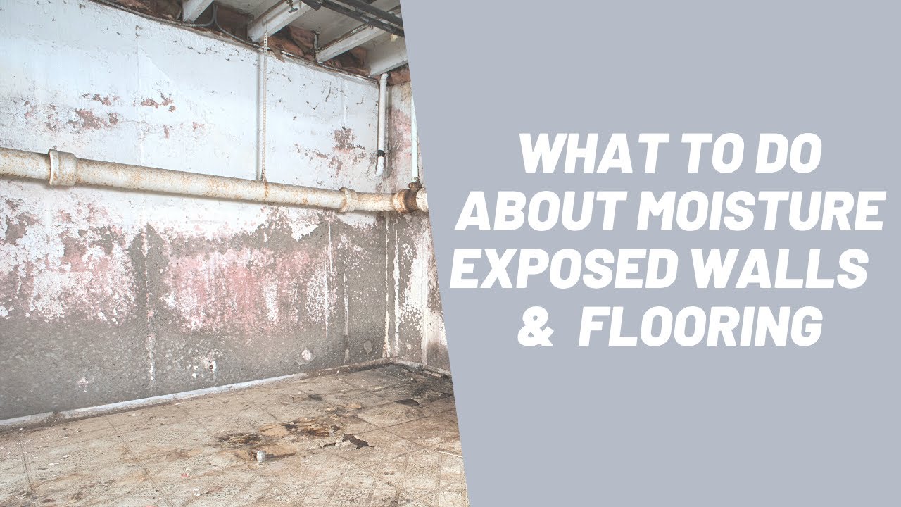 Moisture Exposed Walls and Flooring YouTube