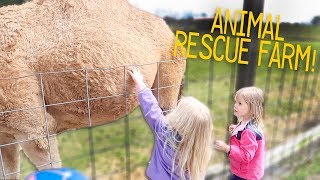TURNING COMMENTS BACK ON! + Visiting An Animal Sanctuary!