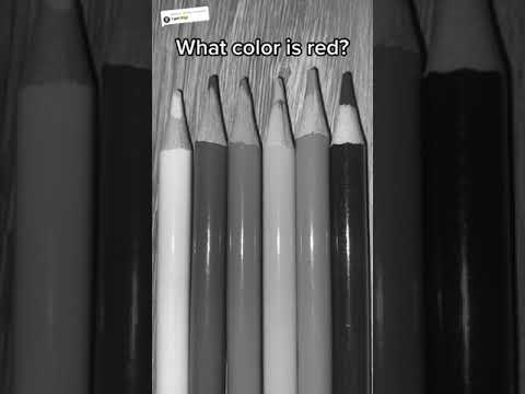 Which Color Is Red Intuitiontest Intuition Coloredpencils Pencil Colors Guessthecolor Fyp