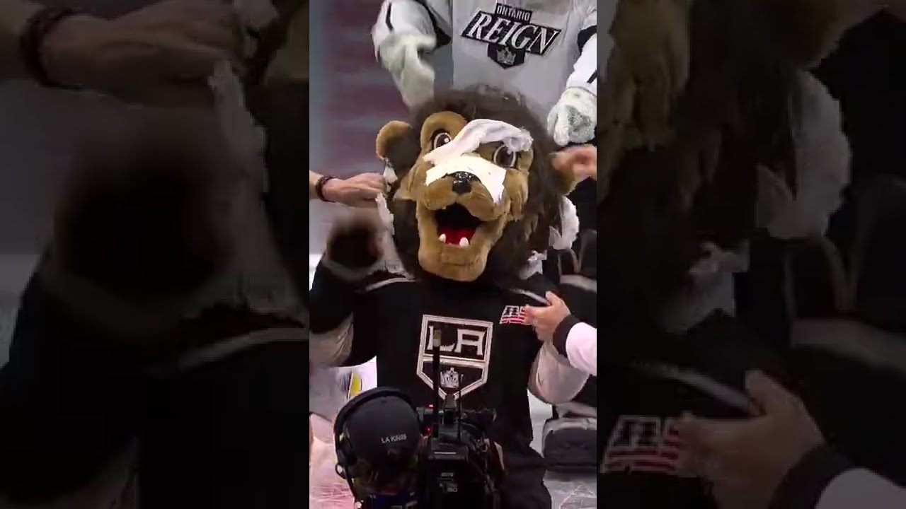 LA Kings mascot Bailey gets a new look 