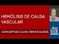 3 Hemólisis de causa vascular