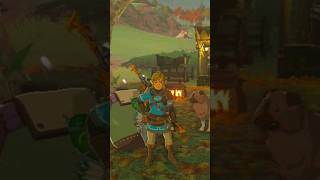 YAHAHA Day 148 of Helping Koroks - Zelda TOTK