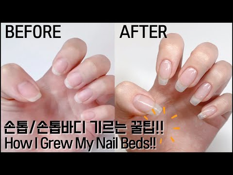 ENG) 손톱과 손톱바디 기르는 🍯팁 | How I Grew My Nails & Nail Beds