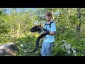 Timber rattlesnake hunting in PA
