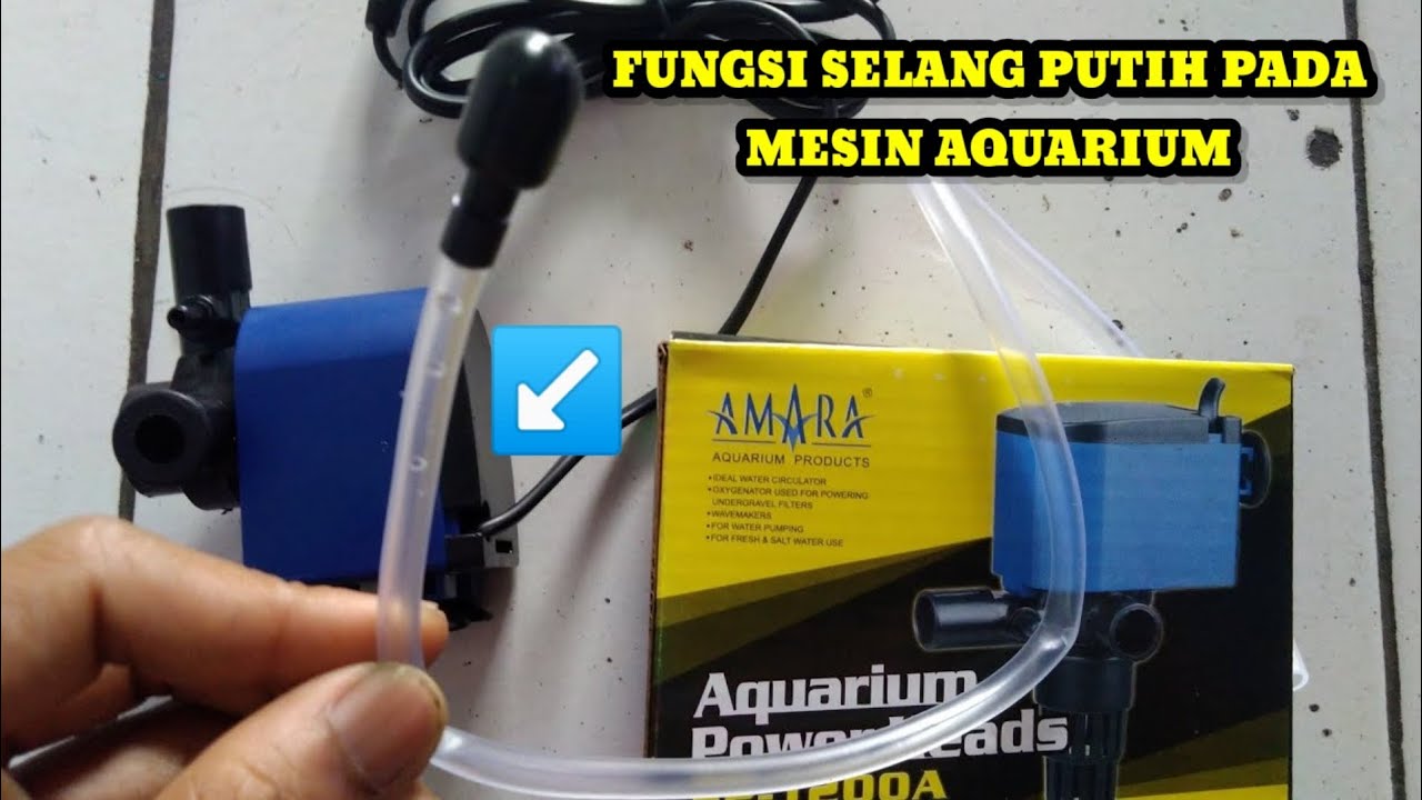 Cara Memasang Selang Dan Fungsi Dari Selang Kecil Filter Aquarium Yang