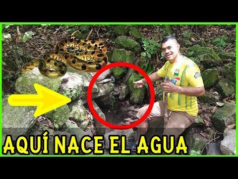 Vídeo: Lagos Formados Por Afloramientos De Agua Salada De Las Entrañas De La Tierra - Vista Alternativa