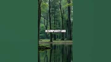 From Investment Banker to Zen Mentor: Embracing Minimalist Insights