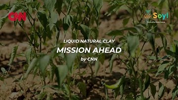 Liquid Natural Clay: The UAE Innovation Greening the World’s Deserts | CNN Spotlight