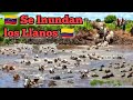 Cundo se inundan los llanos de venezuela  y colombia 