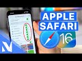 Mit diesem Tipps & Tricks holst du mehr aus APPLE SAFARI heraus (iOS 16) | Nils-Hendrik Welk image