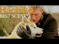 "Hachiko a dog's tale" english full movie (Indonesian subtitles) please subscribe