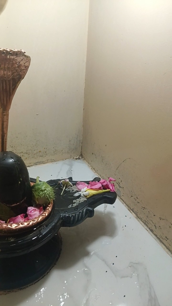 🙏महादेव स्टेट्स video - ShareChat