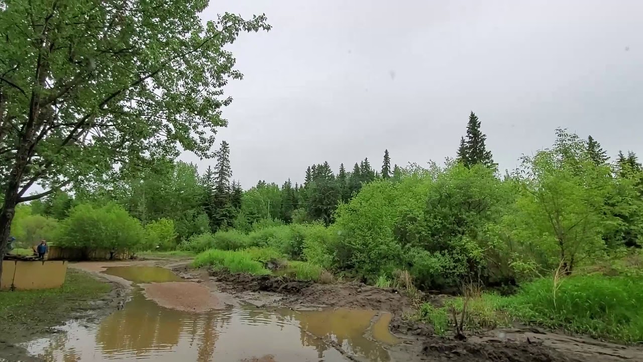 2020 06 15 Baptiste Lake, Alberta. YouTube