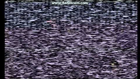 老吴玩Five Nights at Freddy