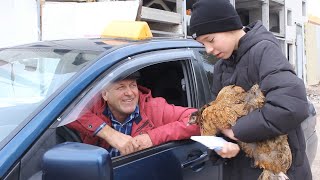 Перекличка . Самые известные люди Ульяновска | ТЕЛЕШКО