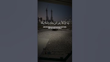 القرآن الكريم سورة النحل الاية ٤٩ القارئ #ياسر_الدوسري