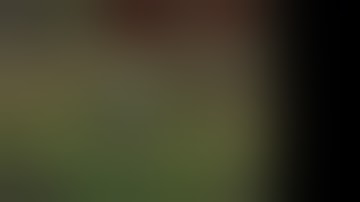 Dungeon Siege 2 Nude Mod 1.