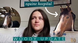 Woody Update | Horse Hospital Visit + Some Difficult News | Riding With Rhi