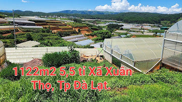 Cần bán 1 lô đất mặt tiền đường nhựa 6m ( đường quy hoạch 12m )thôn Đa Lộc, xã Xuân Thọ, Tp. Đà Lạt.