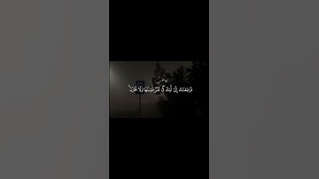 سورة #طه • #محمد_أيوب