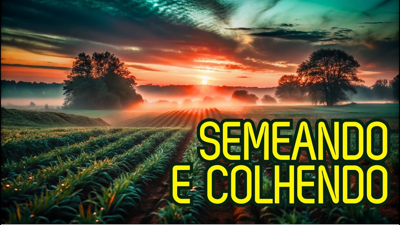 A Semente Cresce em Silêncio - O Reino de Deus se Fortalece (Marcos 