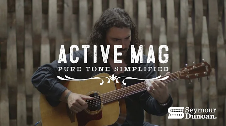 The New Seymour Duncan Active Mag Acoustic Pickup ...