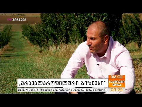 #საქმიანები - \"მრავალპროფილური ბიზნესი\" - გიორგი კვირიკაძე