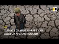 Climate change worse than Afghan war for drought-stricken farmers struggling to survive