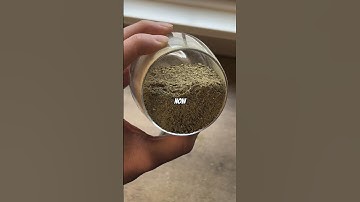 How Does Yerba Mate Work?🧉