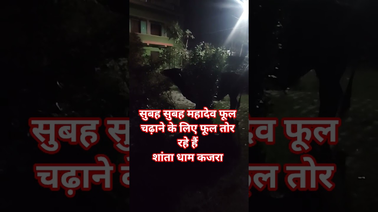 हर हर महादेव - शांता धाम कजरा || Shailendra Kumar 