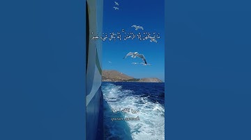 تلاوه خاشعه (أولم يروا إلى الطير فوقهم صافات) تأمل في خلق الله