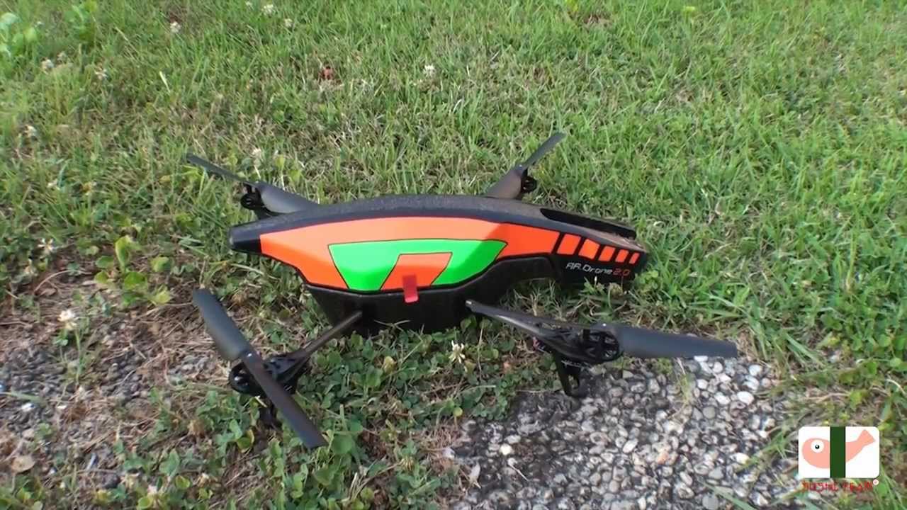 Drone Vs Cat YouTube