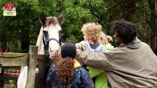 Spring Festival at The Funny Farm Rescue & Sanctuary