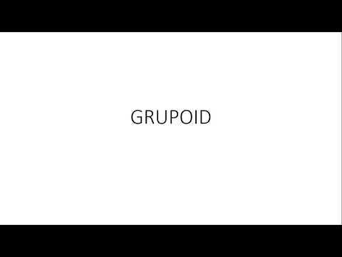 Grupoid