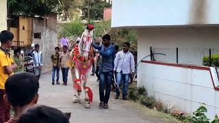 White Horse dancing on Marathi song.