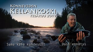 Kellankoski, Konnevesi June 2019