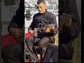 @talbitv أوركسترا هشام #guitarist
