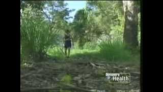 Rescue 911 Bloke Vs Nasty Australian Snake