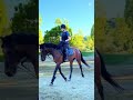 riding club volos