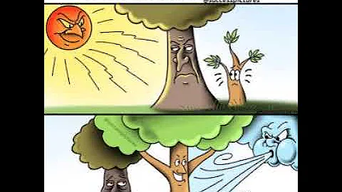 Say "Thank You" - A Motivational Video On The Importance Of Gratitude