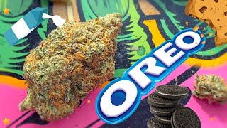Famous Oreoz Strain Review Profile