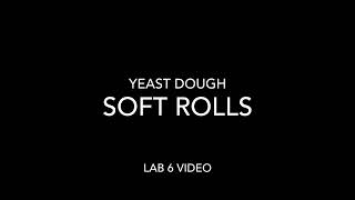 Lab 6 assignment - Yeast Doughs